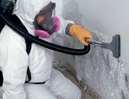 Best Industrial Mold Remediation in USA